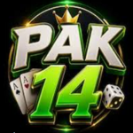 PAK14 Game Android APK: Your Ultimate Guide to Download and Play