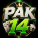 PAK14 Game Android APK: Your Ultimate Guide to Download and Play